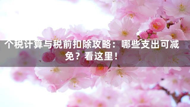 个税计算与税前扣除攻略：哪些支出可减免？看这里！