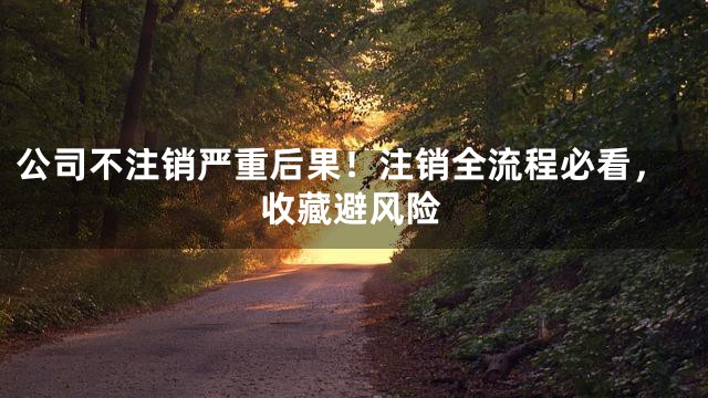 公司不注销严重后果！注销全流程必看，收藏避风险