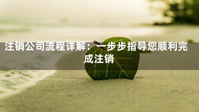 注销公司流程详解：一步步指导您顺利完成注销