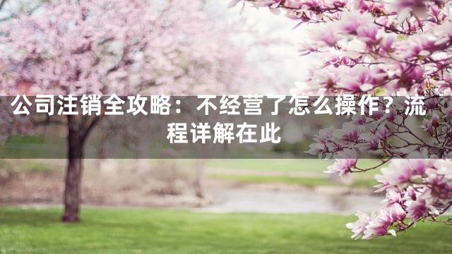 公司注销全攻略：不经营了怎么操作？流程详解在此