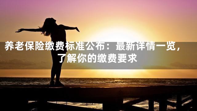 养老保险缴费标准公布：最新详情一览，了解你的缴费要求