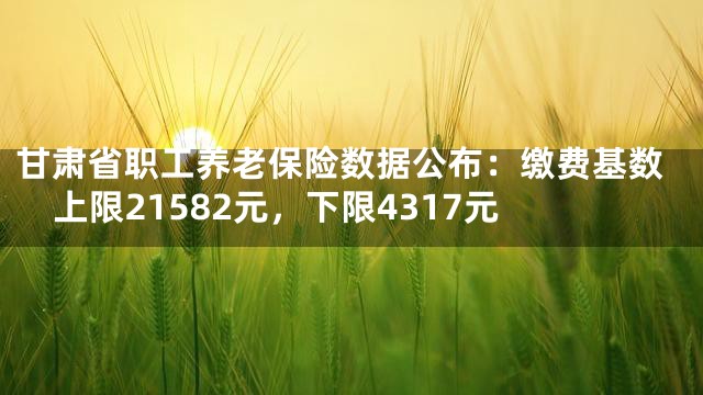 甘肃省职工养老保险数据公布：缴费基数上限21582元，下限4317元