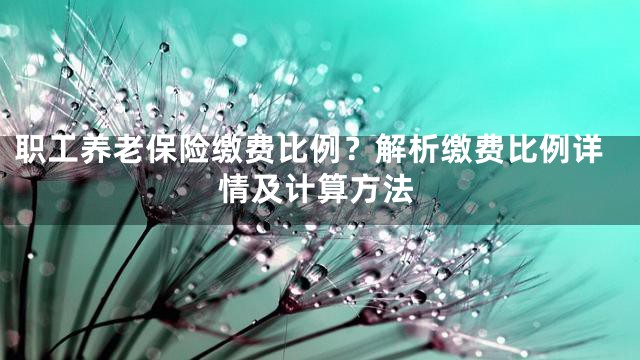 职工养老保险缴费比例？解析缴费比例详情及计算方法