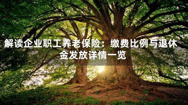 解读企业职工养老保险：缴费比例与退休金发放详情一览