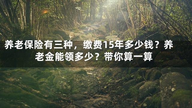 养老保险有三种，缴费15年多少钱？养老金能领多少？带你算一算