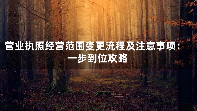 营业执照经营范围变更流程及注意事项：一步到位攻略