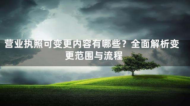 营业执照可变更内容有哪些？全面解析变更范围与流程