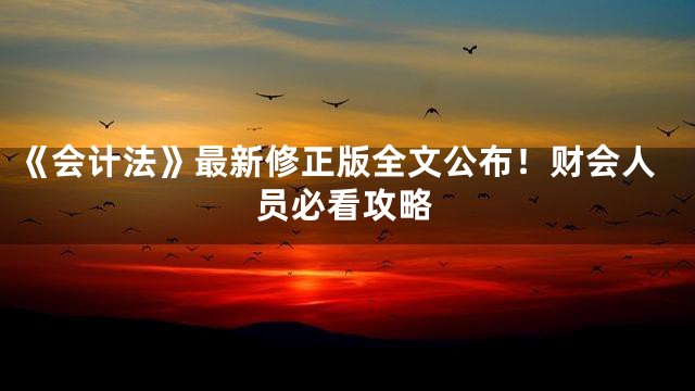 《会计法》最新修正版全文公布！财会人员必看攻略