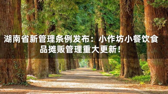 湖南省新管理条例发布：小作坊小餐饮食品摊贩管理重大更新！