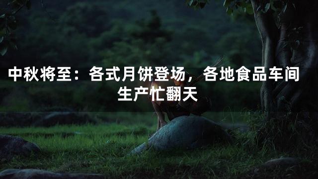 中秋将至：各式月饼登场，各地食品车间生产忙翻天