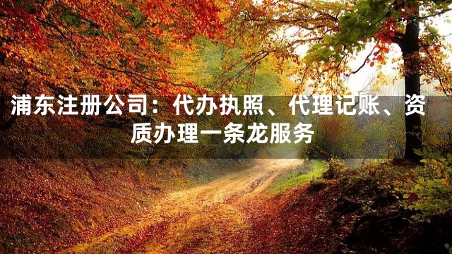 浦东注册公司：代办执照、代理记账、资质办理一条龙服务