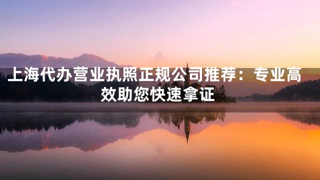 上海代办营业执照正规公司推荐：专业高效助您快速拿证
