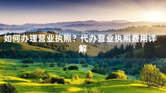 如何办理营业执照？代办营业执照费用详解