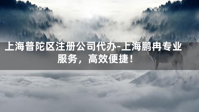 上海普陀区注册公司代办-上海鹏冉专业服务，高效便捷！