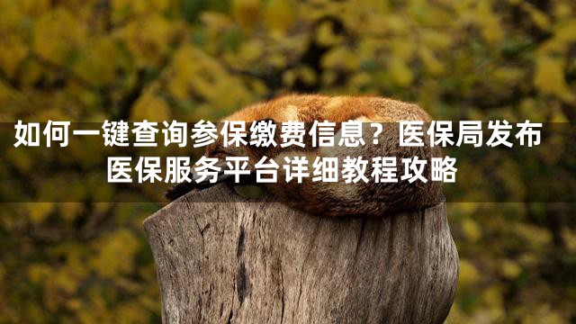 如何一键查询参保缴费信息？医保局发布医保服务平台详细教程攻略