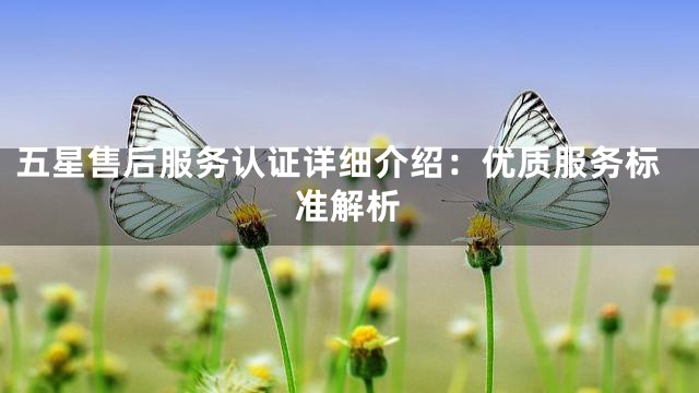 五星售后服务认证详细介绍：优质服务标准解析
