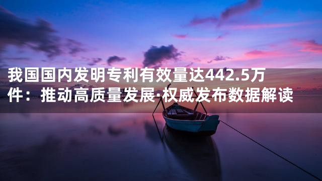 我国国内发明专利有效量达442.5万件：推动高质量发展·权威发布数据解读