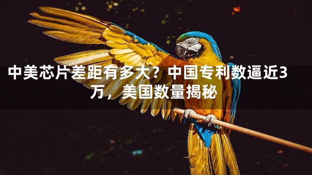 中美芯片差距有多大？中国专利数逼近3万，美国数量揭秘