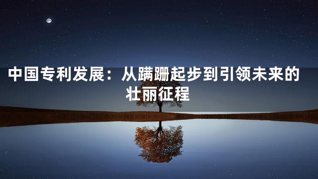 中国专利发展：从蹒跚起步到引领未来的壮丽征程