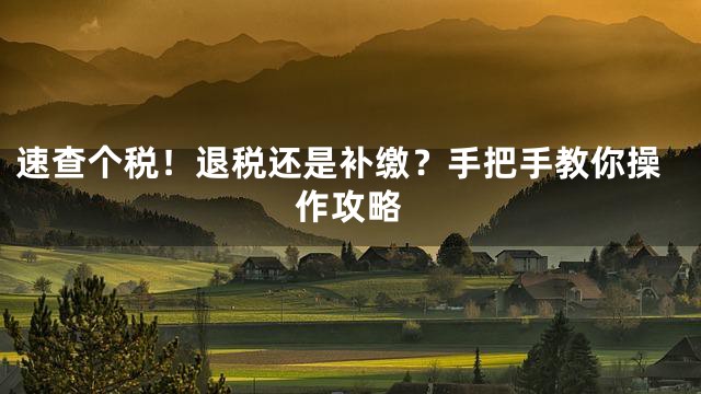速查个税！退税还是补缴？手把手教你操作攻略