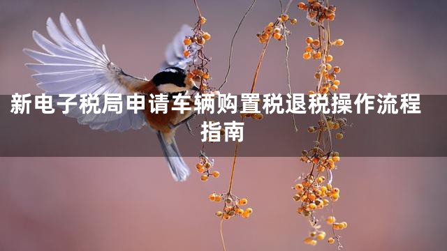 新电子税局申请车辆购置税退税操作流程指南