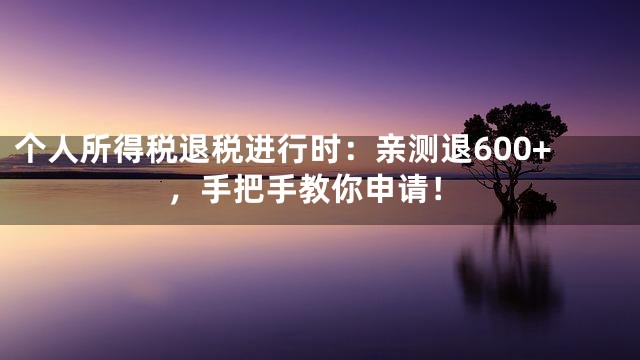 个人所得税退税进行时：亲测退600+，手把手教你申请！