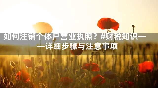 如何注销个体户营业执照？#财税知识——详细步骤与注意事项