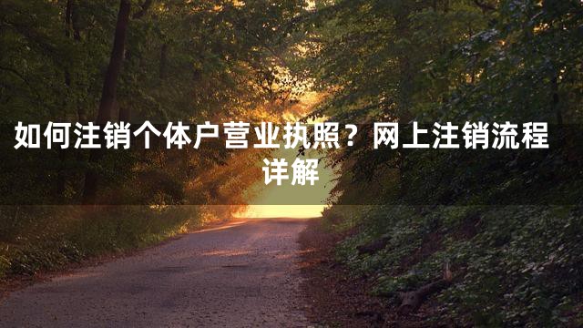 如何注销个体户营业执照？网上注销流程详解