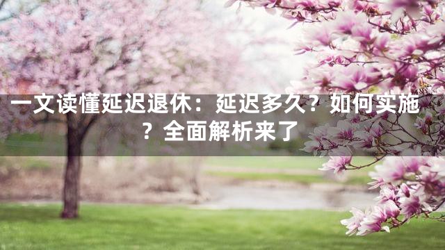 一文读懂延迟退休：延迟多久？如何实施？全面解析来了