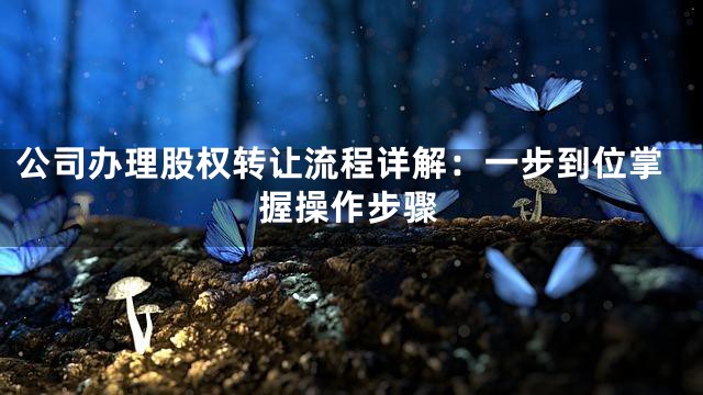 公司办理股权转让流程详解：一步到位掌握操作步骤