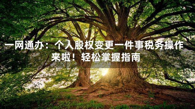 一网通办：个人股权变更一件事税务操作来啦！轻松掌握指南