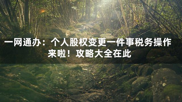 一网通办：个人股权变更一件事税务操作来啦！攻略大全在此