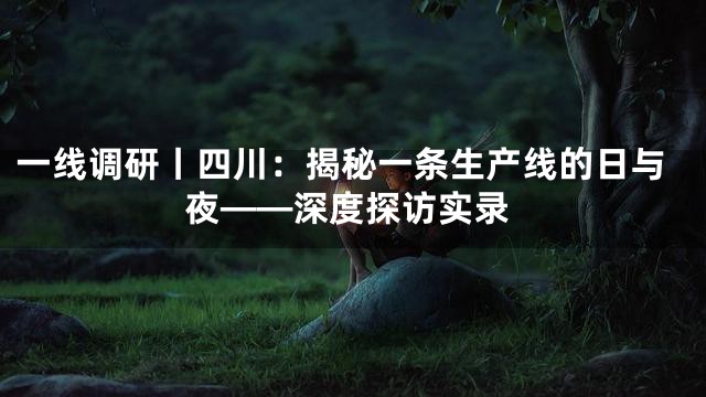 一线调研丨四川：揭秘一条生产线的日与夜——深度探访实录