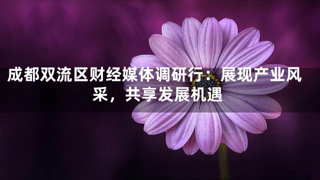 成都双流区财经媒体调研行：展现产业风采，共享发展机遇