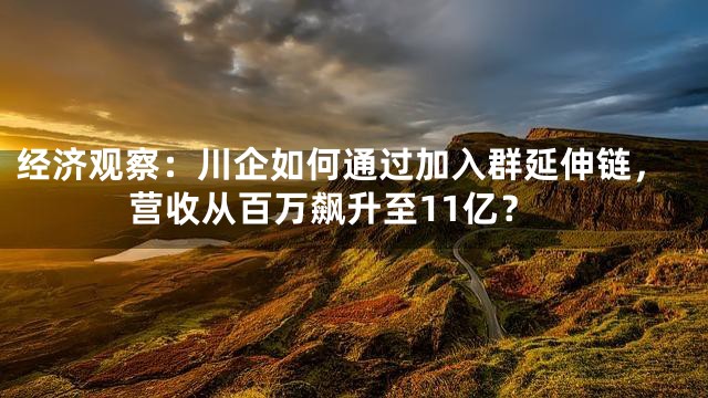 经济观察：川企如何通过加入群延伸链，营收从百万飙升至11亿？