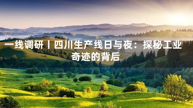 一线调研丨四川生产线日与夜：探秘工业奇迹的背后