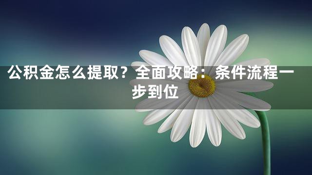公积金怎么提取？全面攻略：条件流程一步到位
