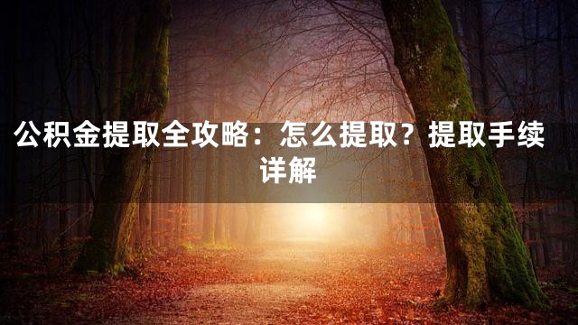 公积金提取全攻略：怎么提取？提取手续详解
