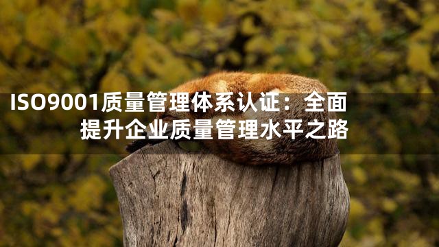 ISO9001质量管理体系认证：全面提升企业质量管理水平之路