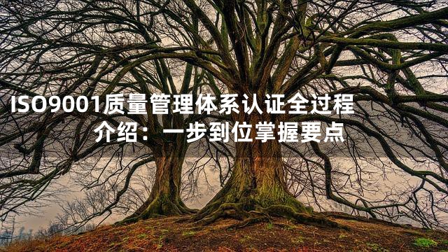 ISO9001质量管理体系认证全过程介绍：一步到位掌握要点