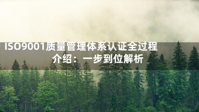 ISO9001质量管理体系认证全过程介绍：一步到位解析
