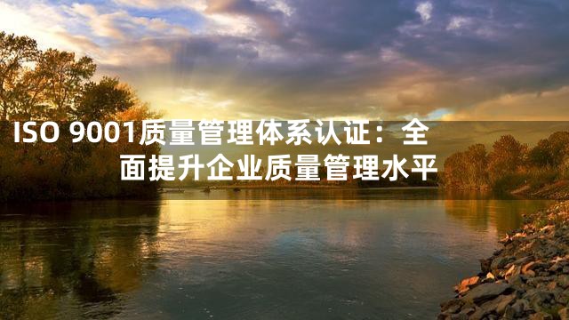 ISO 9001质量管理体系认证：全面提升企业质量管理水平
