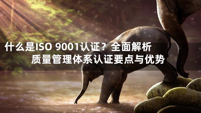什么是ISO 9001认证？全面解析质量管理体系认证要点与优势