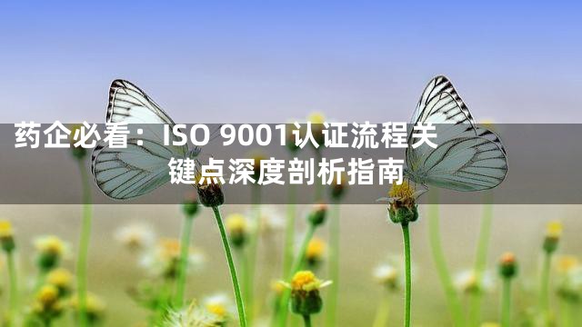 药企必看：ISO 9001认证流程关键点深度剖析指南