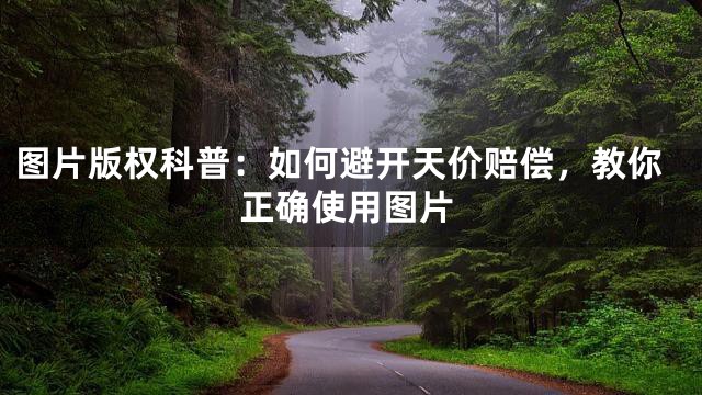 图片版权科普：如何避开天价赔偿，教你正确使用图片
