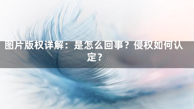 图片版权详解：是怎么回事？侵权如何认定？