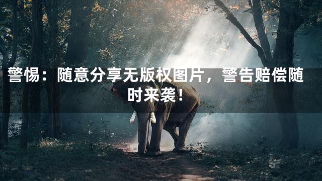 警惕：随意分享无版权图片，警告赔偿随时来袭！