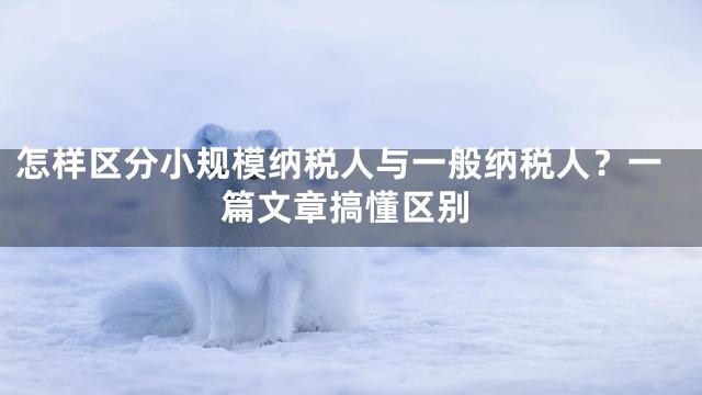 怎样区分小规模纳税人与一般纳税人？一篇文章搞懂区别