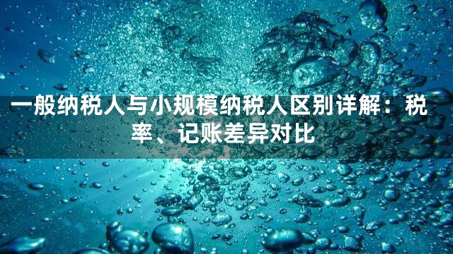 一般纳税人与小规模纳税人区别详解：税率、记账差异对比