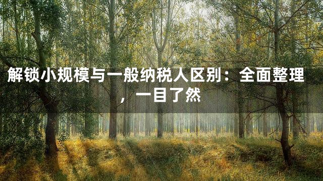 解锁小规模与一般纳税人区别：全面整理，一目了然